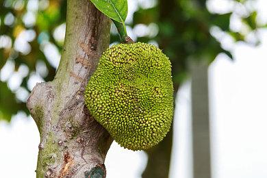 《最终幻想16》PC版9月17日晚上10点解锁